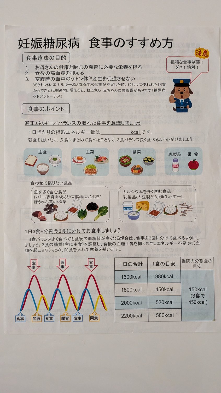 妊娠糖尿病 食事のすすめ方(病院配布パンフ)