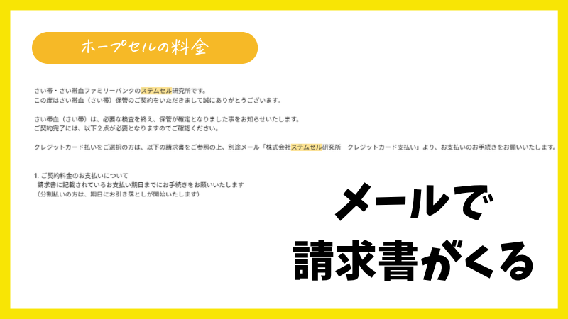 ホープセルから実際に受け取った請求メール